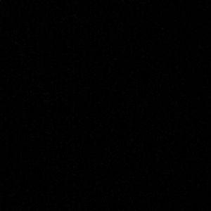 Meet your Posher, Landon